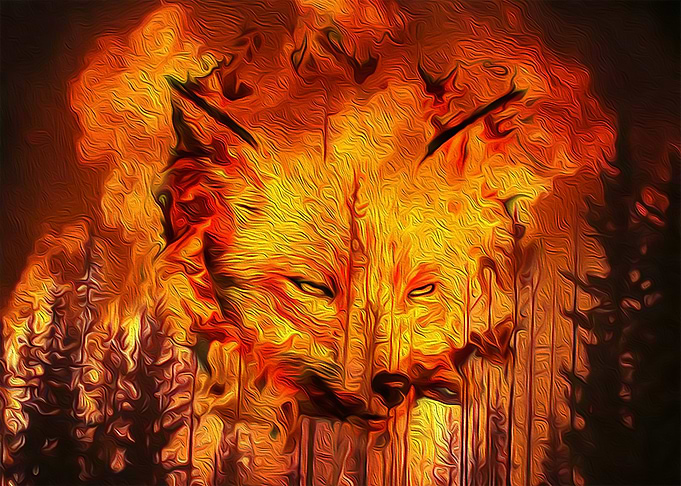 The angry forest