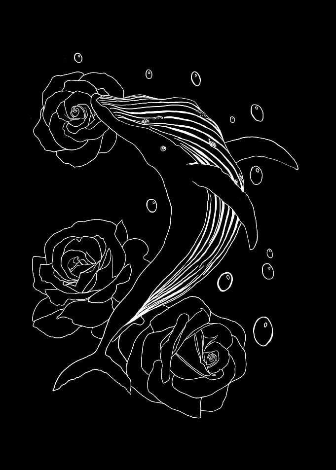 whale with rose