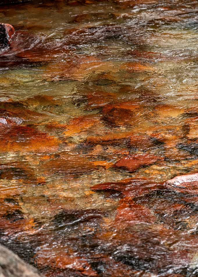 Rocks on the river