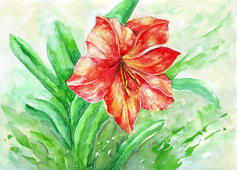 Peach Flower