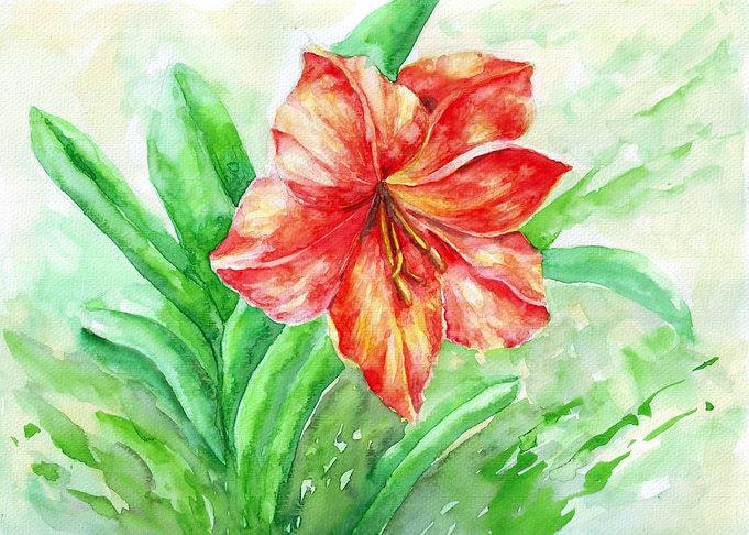 Peach Flower