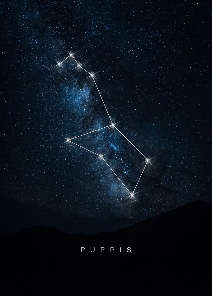 Puppis