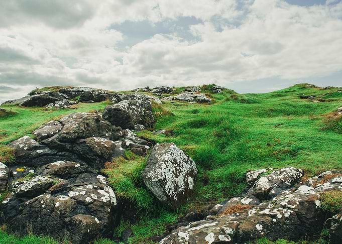 Irish fields
