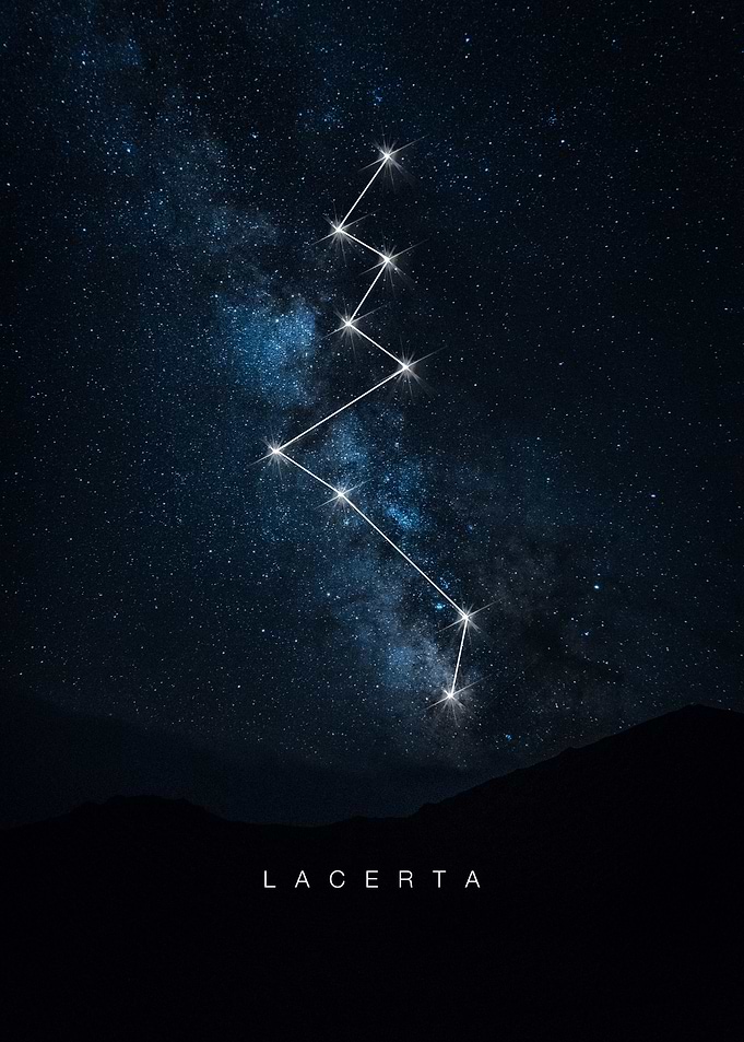 Lacerta