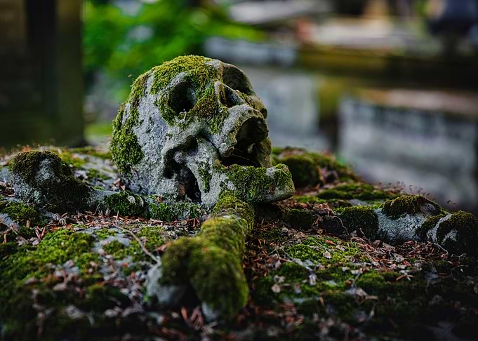 The dead is everywhere