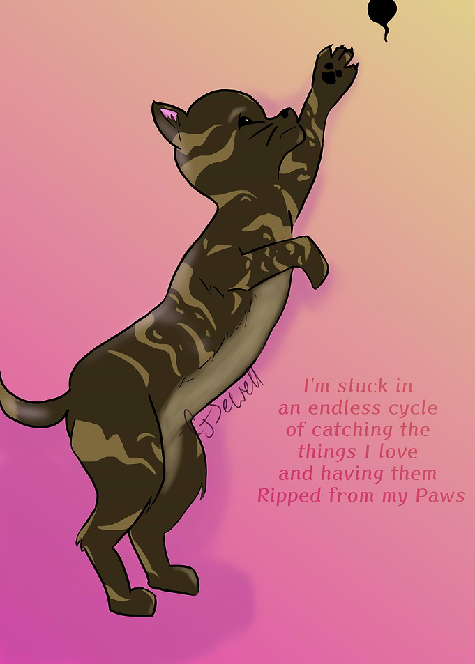 Cat chase mouse