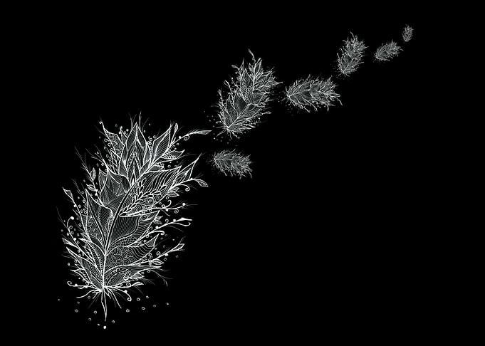 Flying Feathers