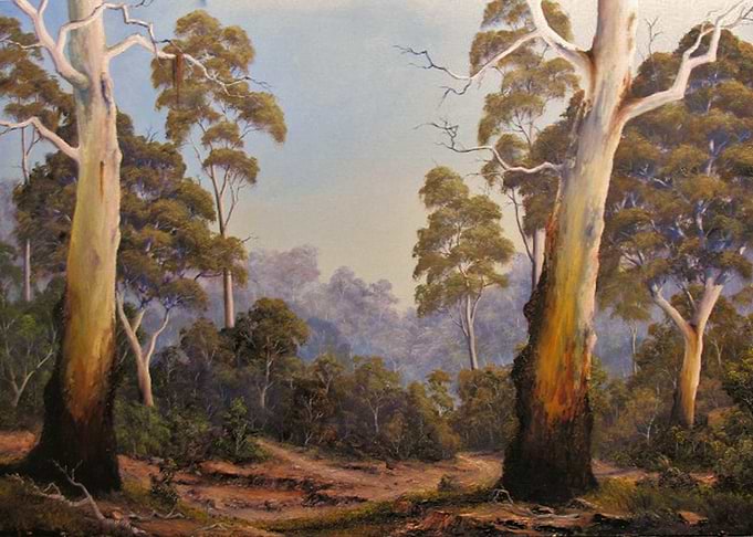 THE SCENT OF GUMTREES