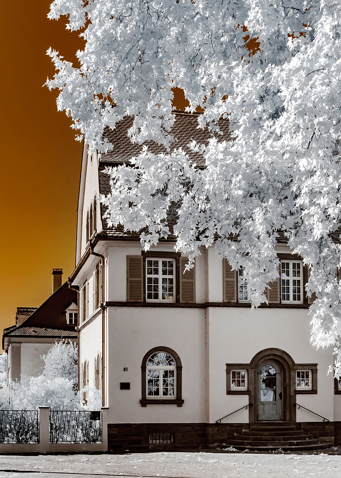 Infrared cityscape
