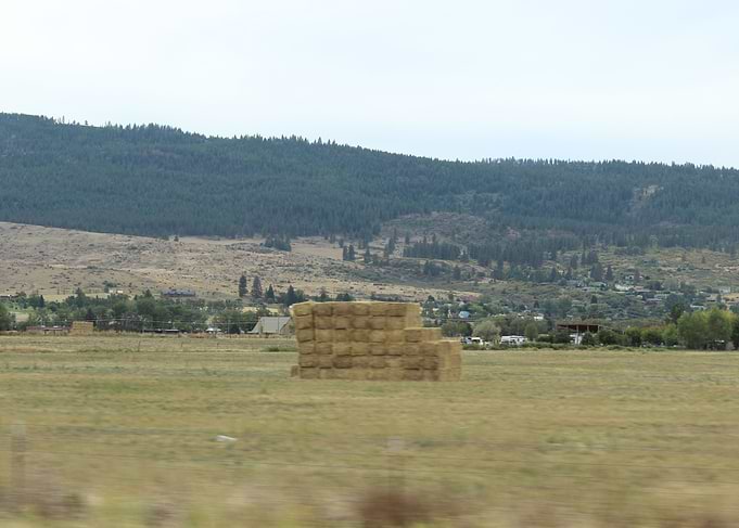 Farmland