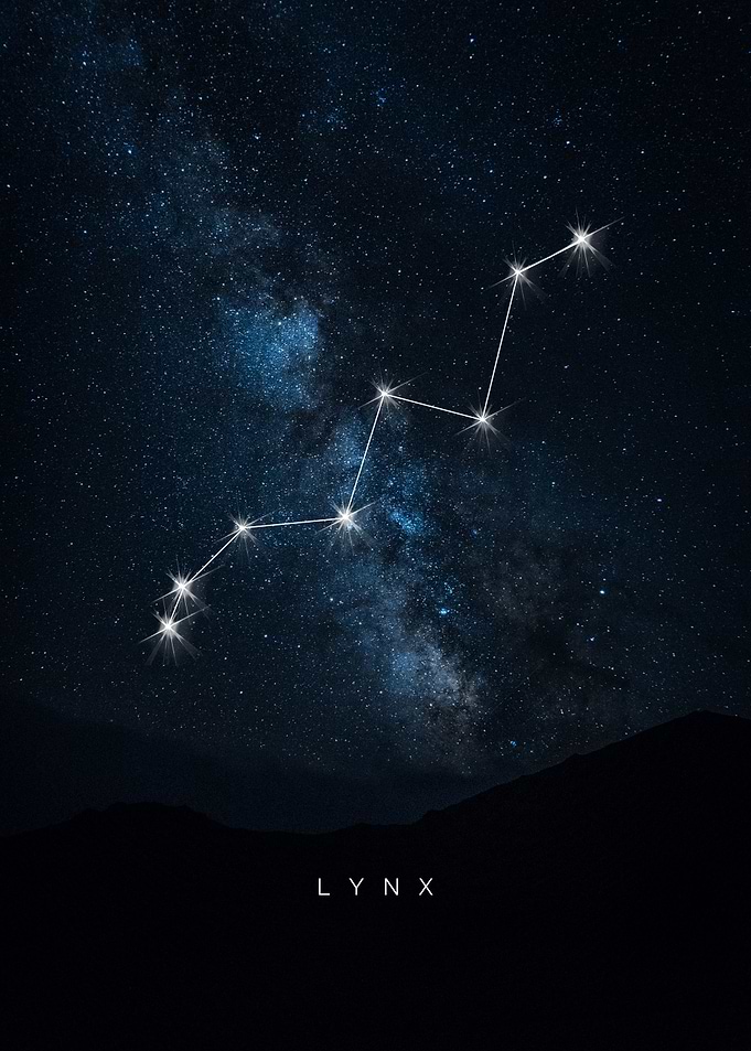 Lynx
