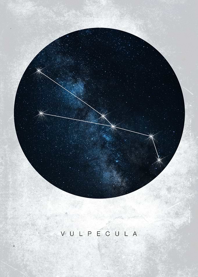 Vulpecula