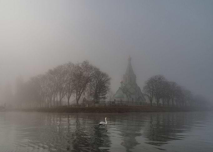 Swan and church