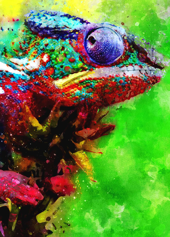 Chameleon