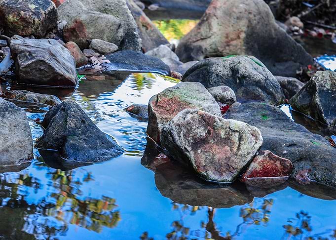 Nature