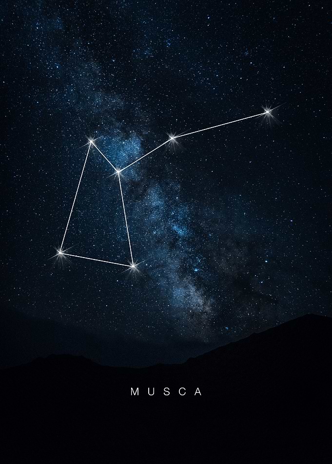 Musca