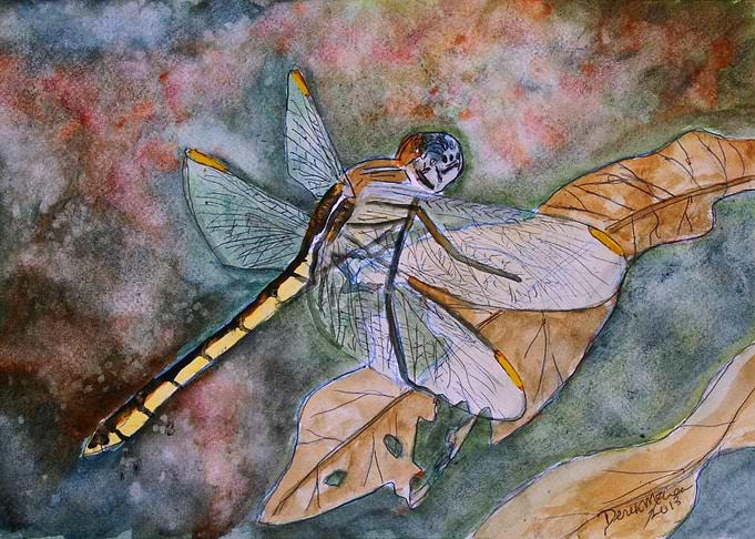 Dragonfly 2