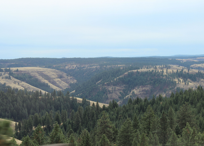 View Forever
