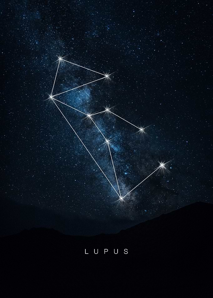 Lupus