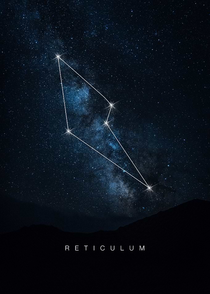 Reticulum