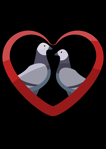 Heart Pigeons Love Gift