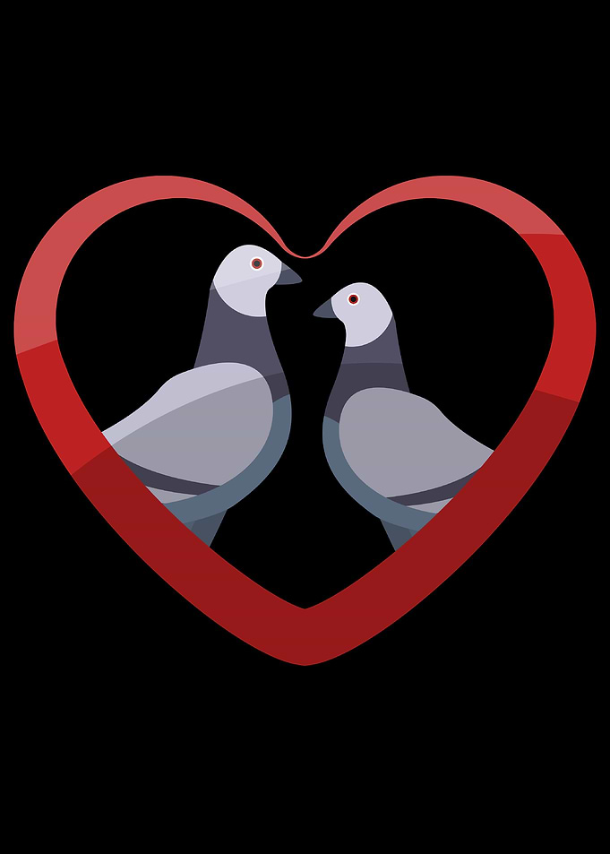 Heart Pigeons Love Gift