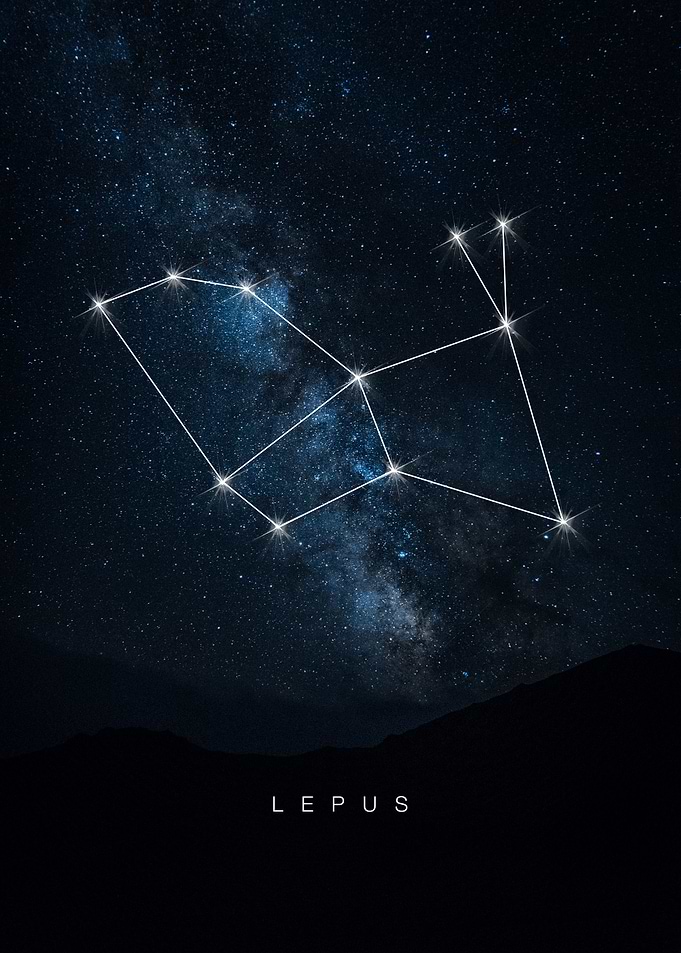 Lepus