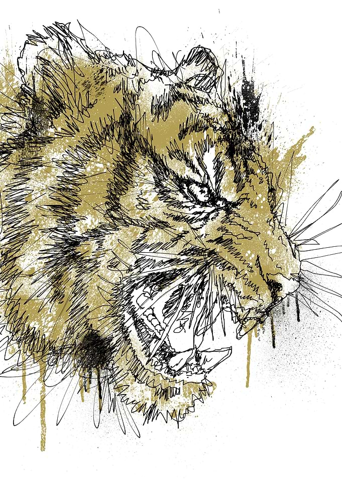 Tiger Roar Scratch