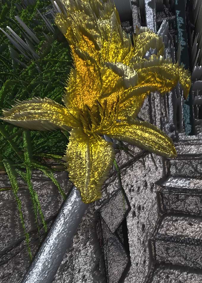 Junes Garden