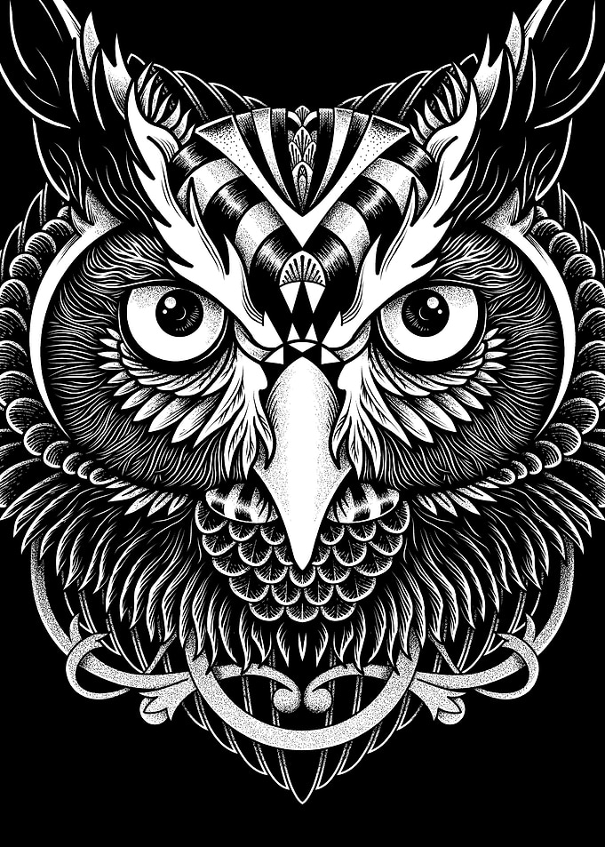 Owl Ornate