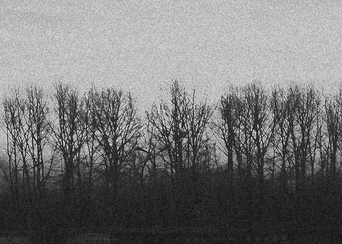 Trees 001