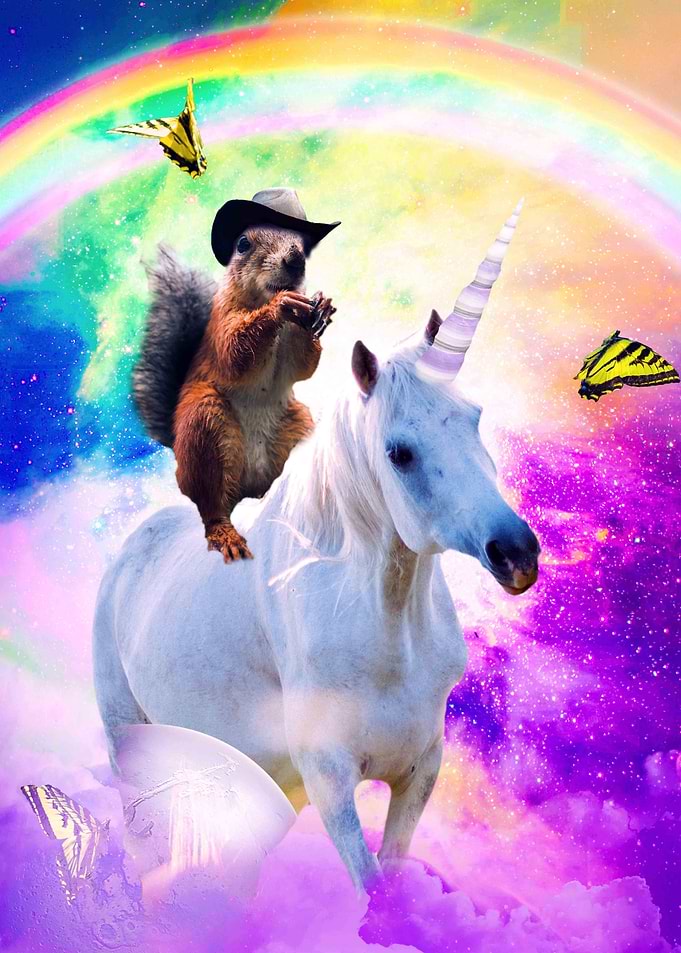 Squirrel Riding Unicorn