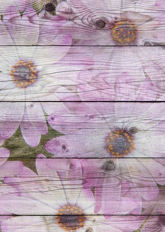 Flower9