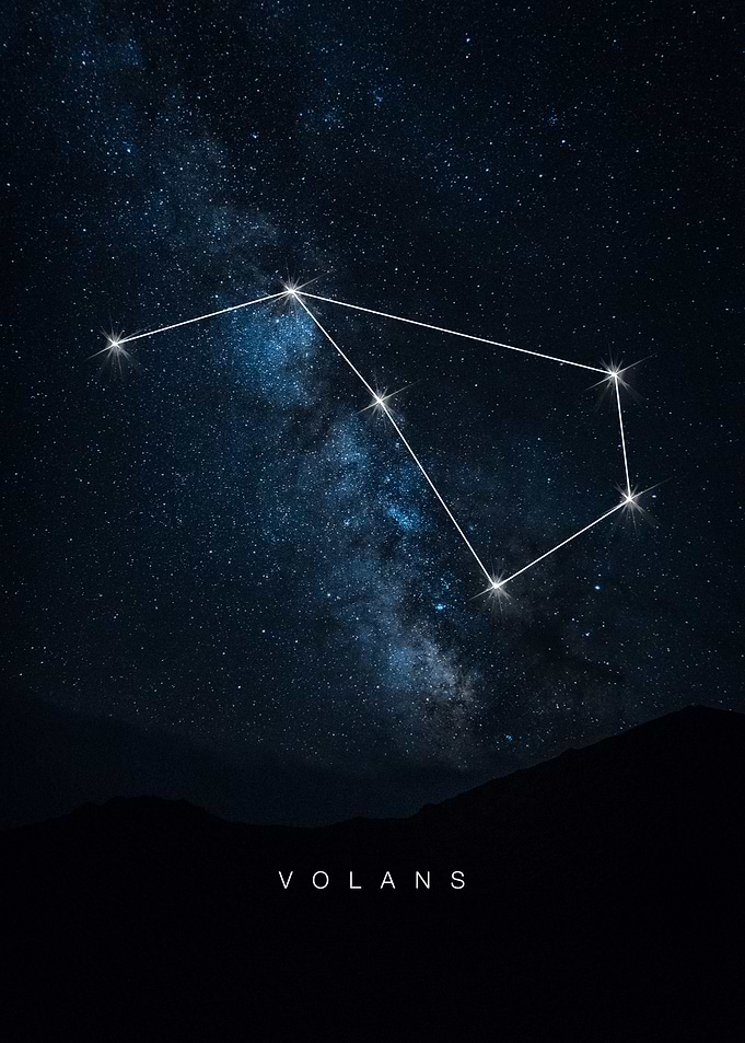 Volans