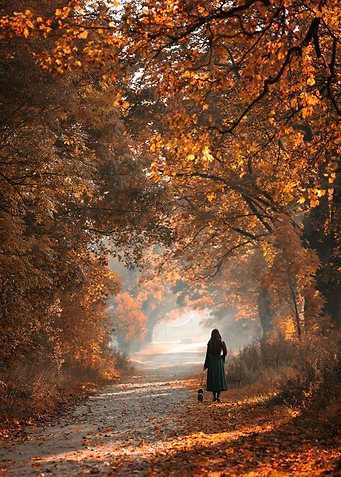 Alley in the park