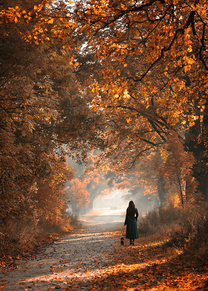 Alley in the park