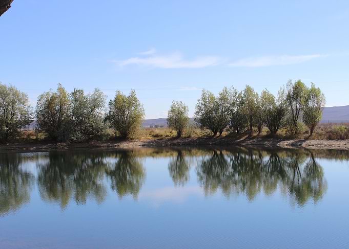 amazing reflection