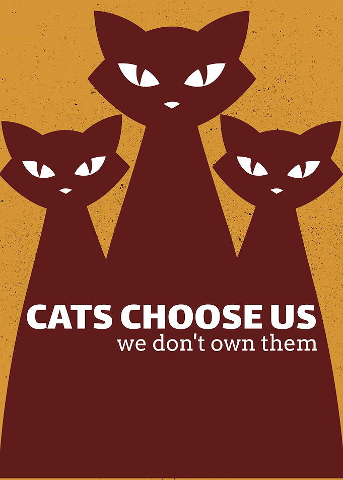 Cats Choose Us