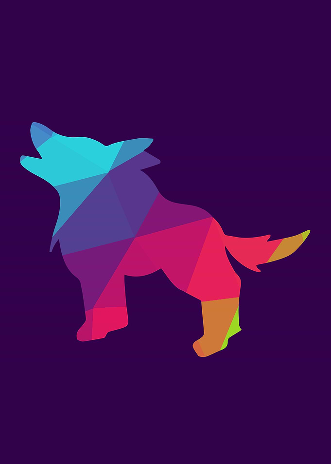 Rainbow Wolf 11