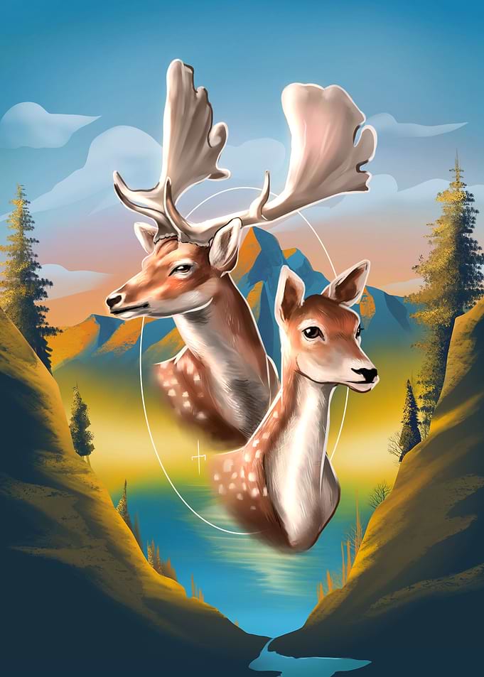 Fallow deer
