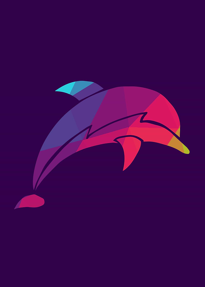Rainbow Dolphin 5