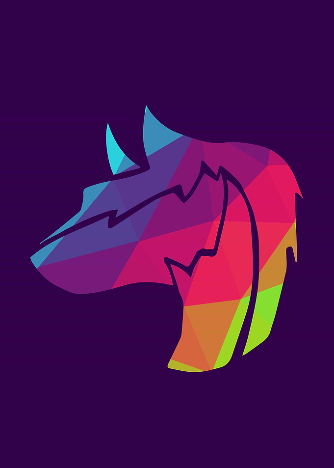 Rainbow Wolf 2