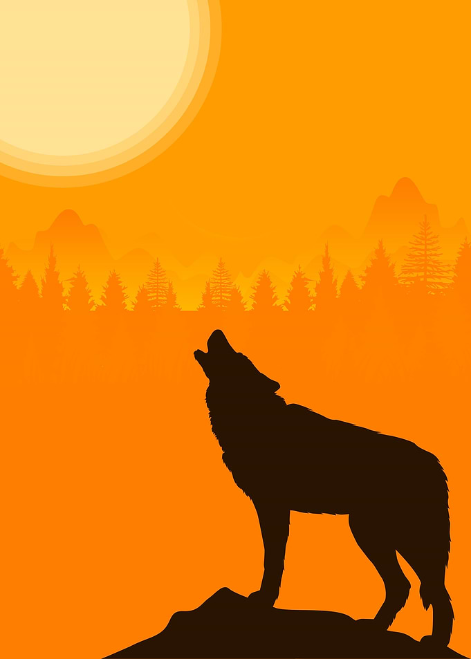 Alone Wolf