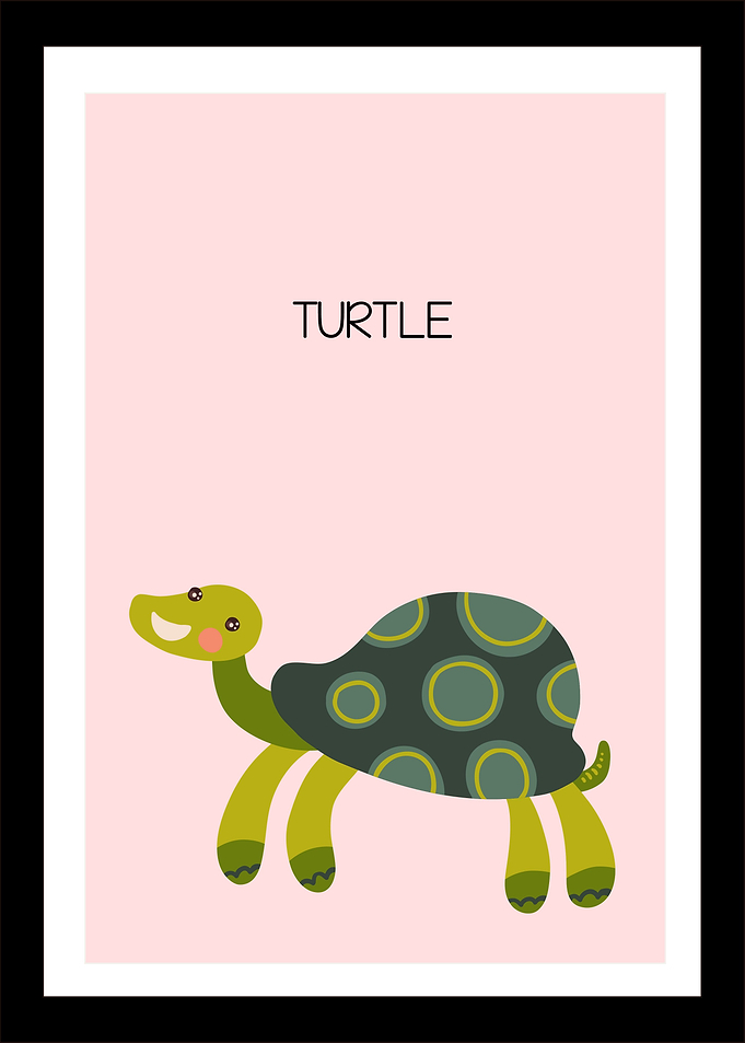 turtle