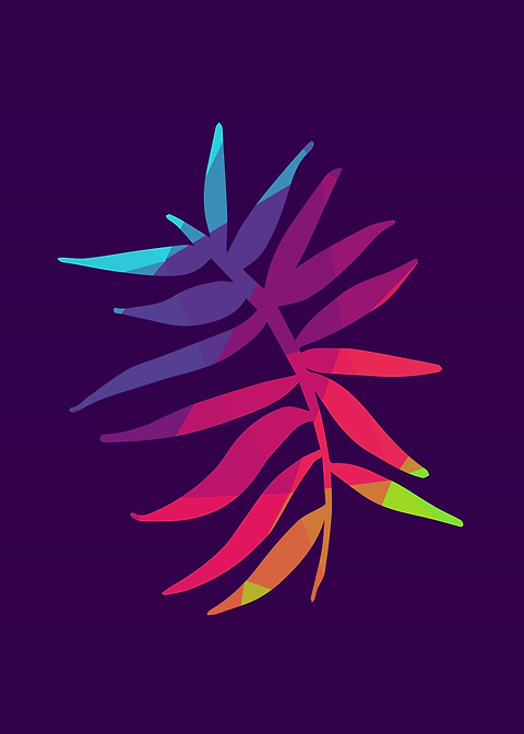 Rainbow Leaf 1