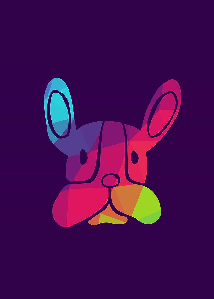 Rainbow Dog 4