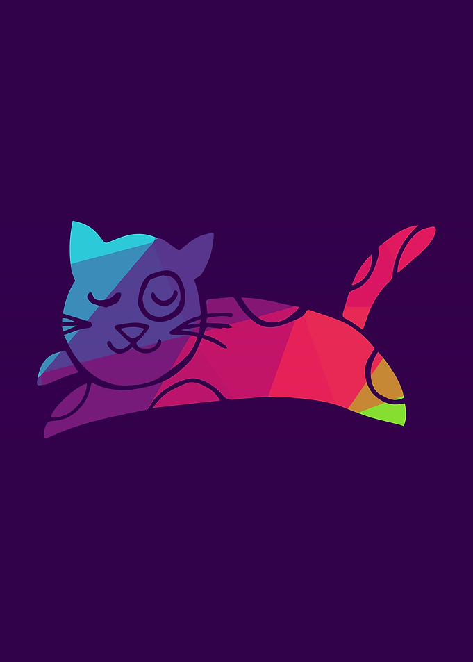 Rainbow Cat 6