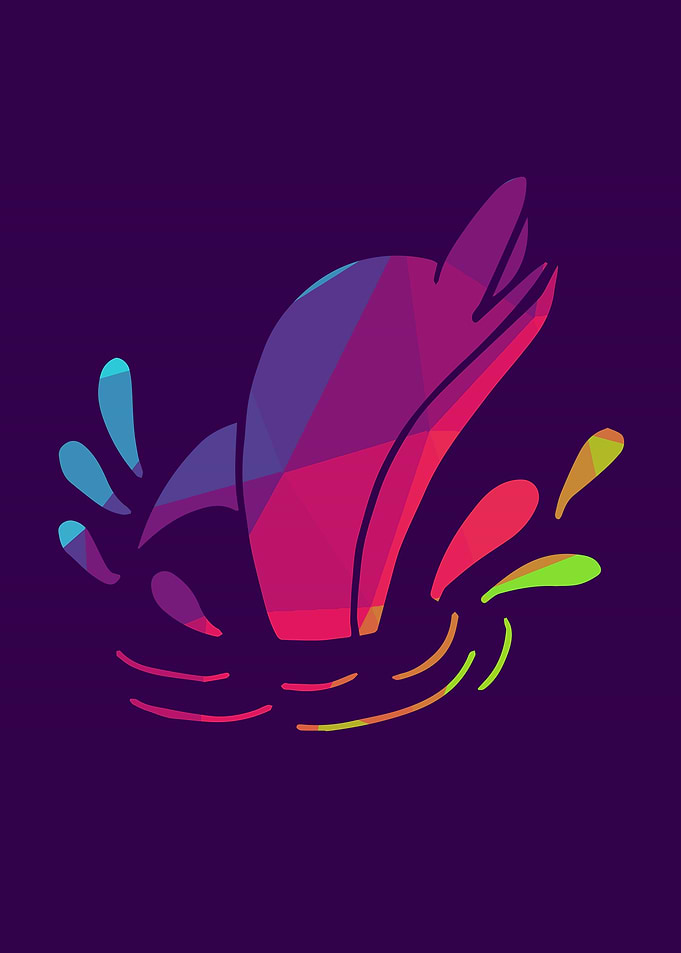 Rainbow Dolphin 1