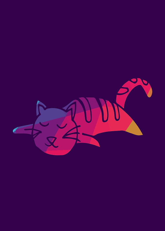 Rainbow Cat 1