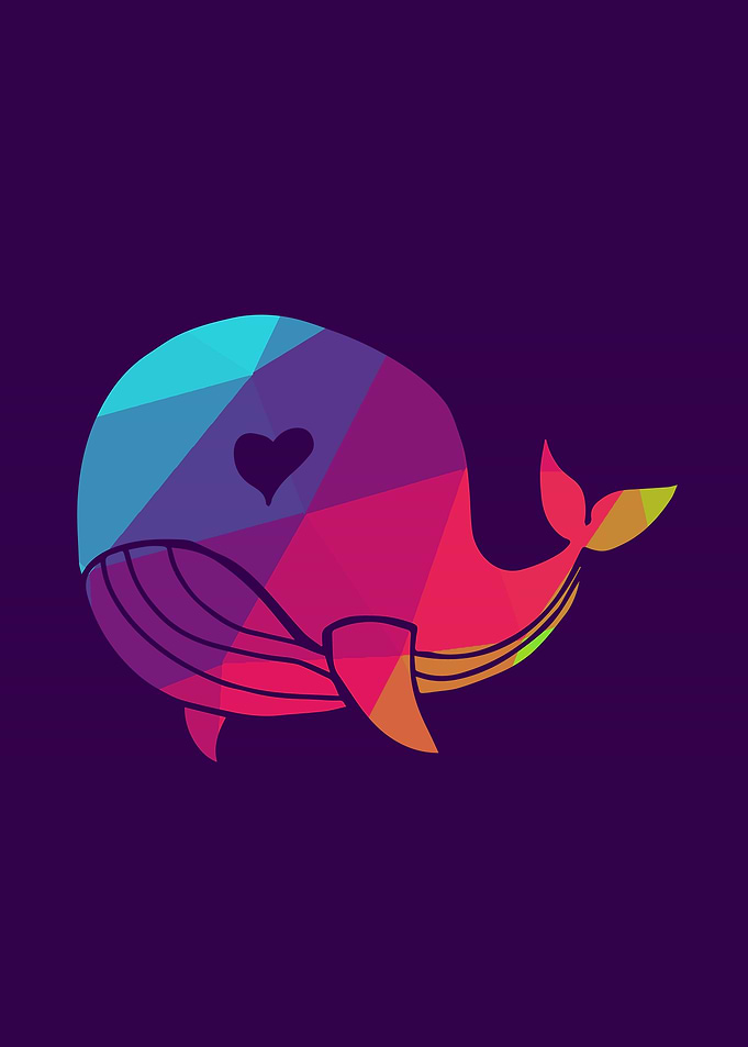 Rainbow Whale 4
